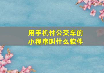 用手机付公交车的小程序叫什么软件