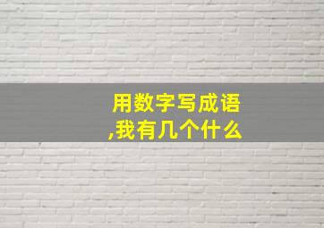 用数字写成语,我有几个什么