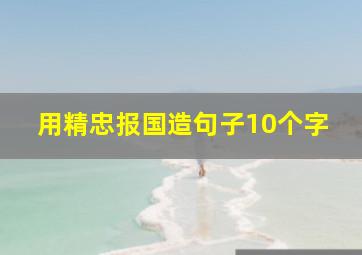 用精忠报国造句子10个字