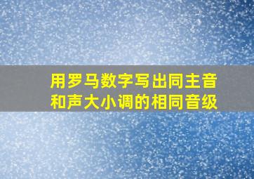 用罗马数字写出同主音和声大小调的相同音级