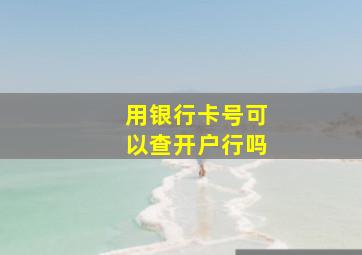 用银行卡号可以查开户行吗