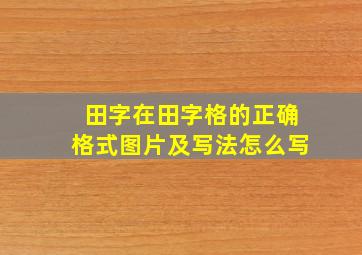 田字在田字格的正确格式图片及写法怎么写