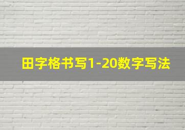 田字格书写1-20数字写法