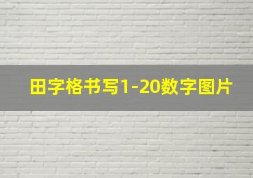 田字格书写1-20数字图片