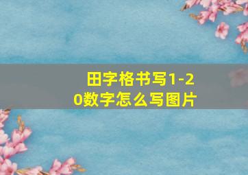 田字格书写1-20数字怎么写图片