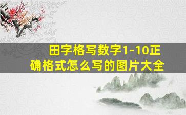 田字格写数字1-10正确格式怎么写的图片大全