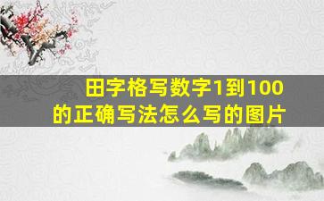 田字格写数字1到100的正确写法怎么写的图片