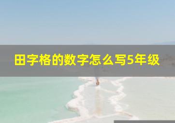 田字格的数字怎么写5年级