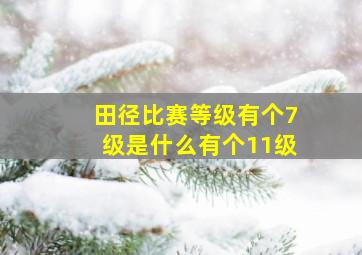 田径比赛等级有个7级是什么有个11级