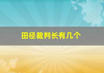 田径裁判长有几个