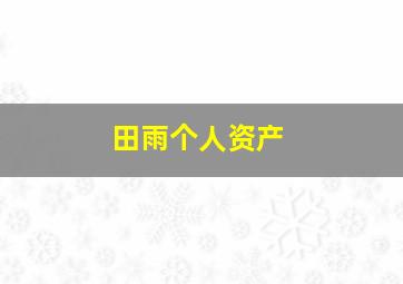 田雨个人资产