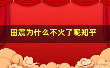 田震为什么不火了呢知乎