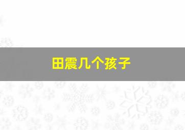 田震几个孩子