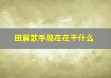 田震歌手现在在干什么