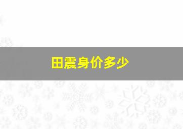 田震身价多少