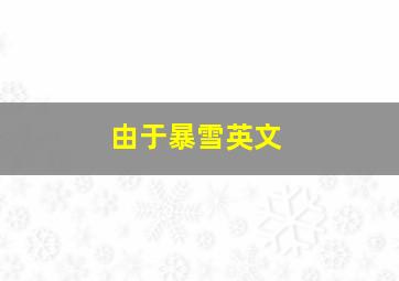 由于暴雪英文