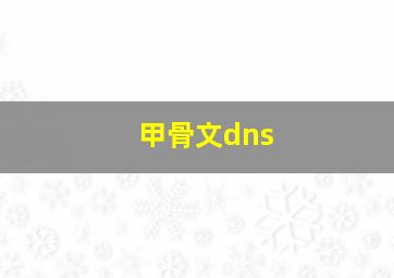 甲骨文dns