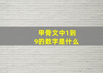 甲骨文中1到9的数字是什么