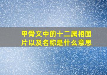 甲骨文中的十二属相图片以及名称是什么意思