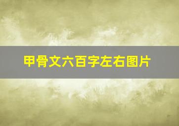 甲骨文六百字左右图片