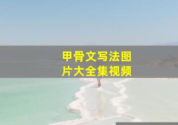 甲骨文写法图片大全集视频