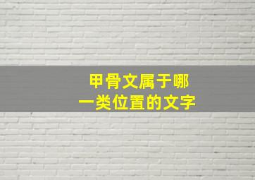 甲骨文属于哪一类位置的文字