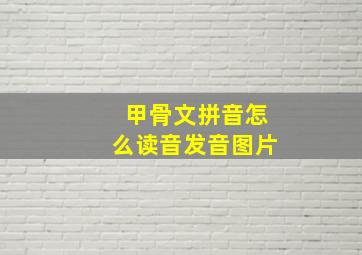 甲骨文拼音怎么读音发音图片