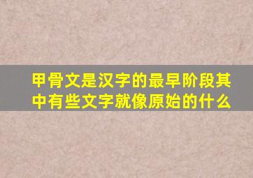 甲骨文是汉字的最早阶段其中有些文字就像原始的什么