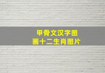 甲骨文汉字图画十二生肖图片