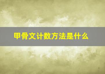 甲骨文计数方法是什么