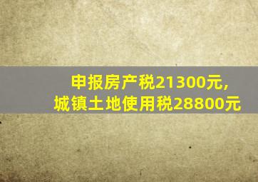 申报房产税21300元,城镇土地使用税28800元