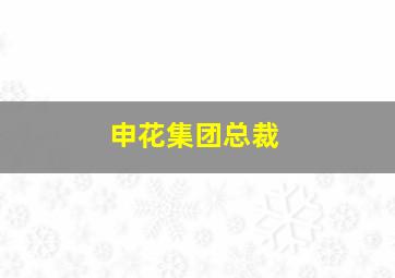 申花集团总裁