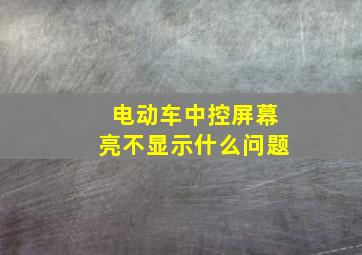 电动车中控屏幕亮不显示什么问题