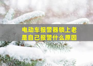 电动车报警器锁上老是自己报警什么原因