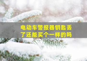 电动车警报器钥匙丢了还能买个一样的吗