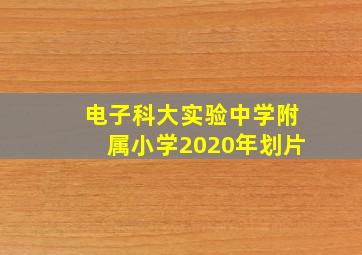 电子科大实验中学附属小学2020年划片