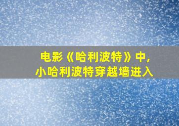 电影《哈利波特》中,小哈利波特穿越墙进入