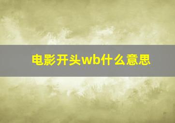 电影开头wb什么意思