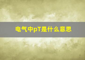 电气中pT是什么意思