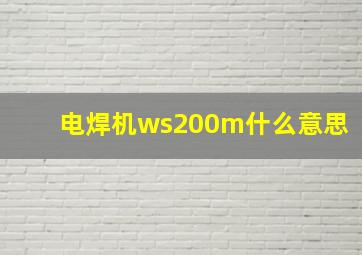 电焊机ws200m什么意思