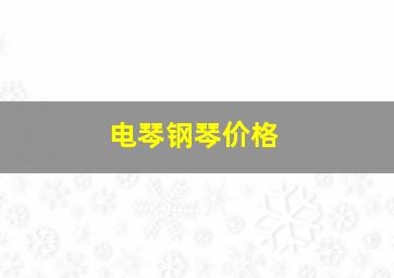 电琴钢琴价格