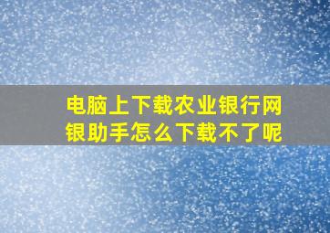 电脑上下载农业银行网银助手怎么下载不了呢