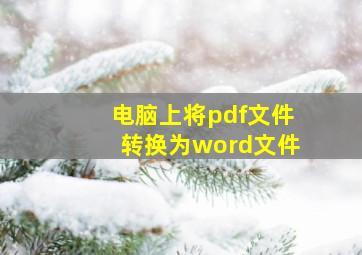 电脑上将pdf文件转换为word文件