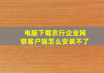 电脑下载农行企业网银客户端怎么安装不了