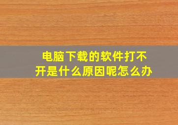 电脑下载的软件打不开是什么原因呢怎么办