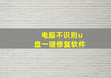 电脑不识别u盘一键修复软件