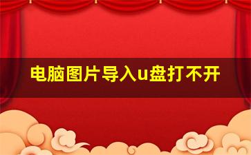 电脑图片导入u盘打不开