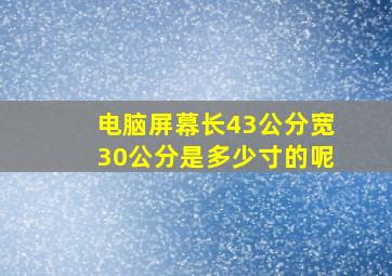 电脑屏幕长43公分宽30公分是多少寸的呢