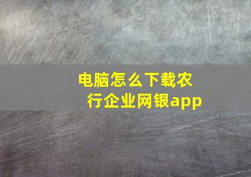 电脑怎么下载农行企业网银app