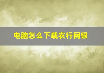 电脑怎么下载农行网银